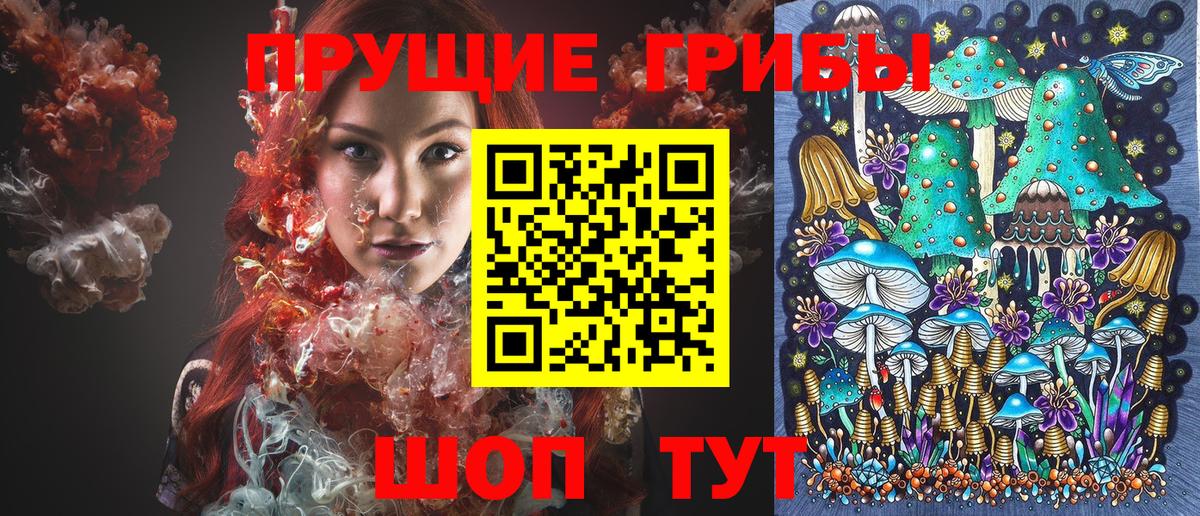 Кемерово  Галлюциногенные грибы Magic Shrooms  Вход с VPN 